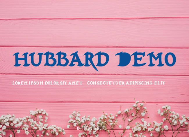 Hubbard Demo example